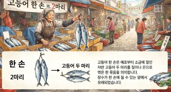 고등어-한손은-몇마리