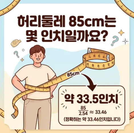 허리둘레-85cm