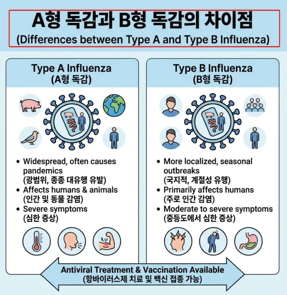 A형-독감과-B형-독감의-차이점